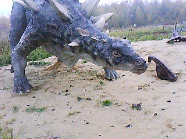 DSC-0000034.jpg