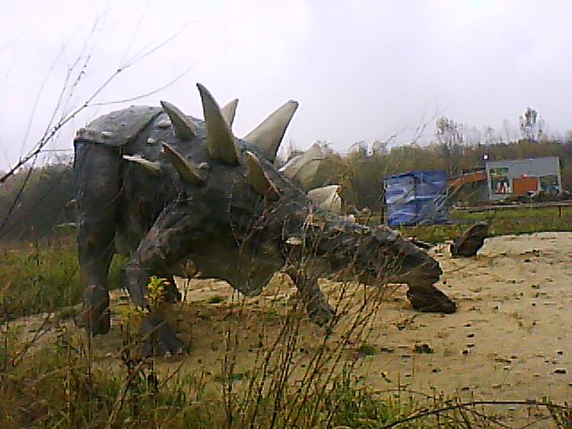 DSC-0000035.jpg
