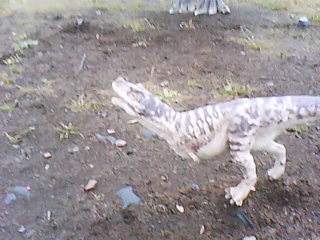 DSC-0000029.jpg