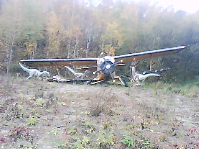 DSC-0000030.jpg