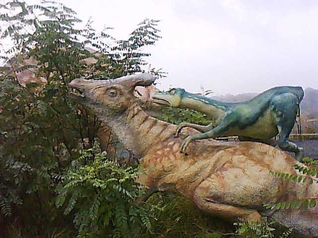 DSC-0000031.jpg