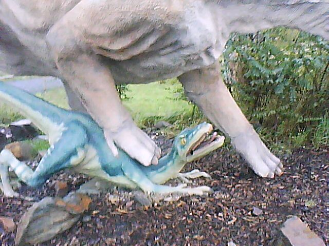 DSC-0000033.jpg